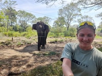 Udawalawa safari w tush d'Ella (w pick / drop pour ella) - Housity