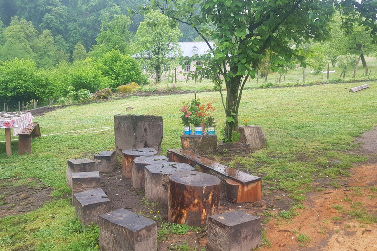 Baku: Southern Azerbaijan Hot Springs and Nature Tour 1-Day Lankaran Hot Springs Tour – Standard (No Meals)