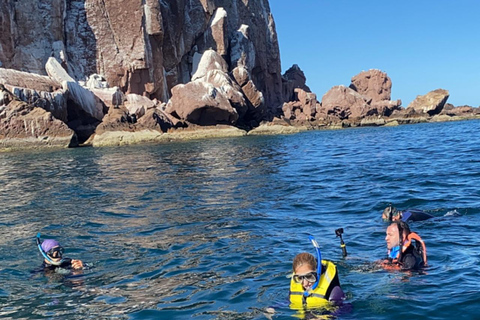 From La Paz: Espíritu Santo Island Tour all inclusive From La Paz: Espíritu Santo Island Tour