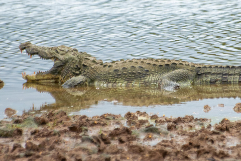 Ella: Udawalawa safaridrop: Tangalle / Mirissa / Galle