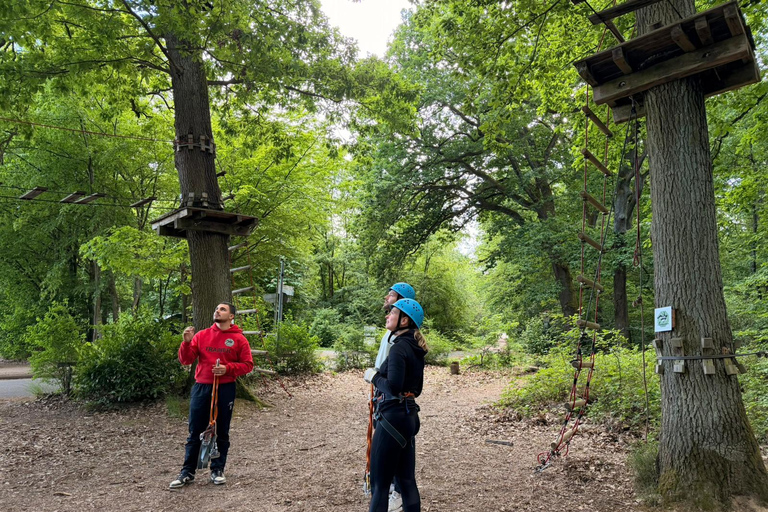 Kelkheim: Outdoor climbing experience in the forest ropes course with circuit and zip lines