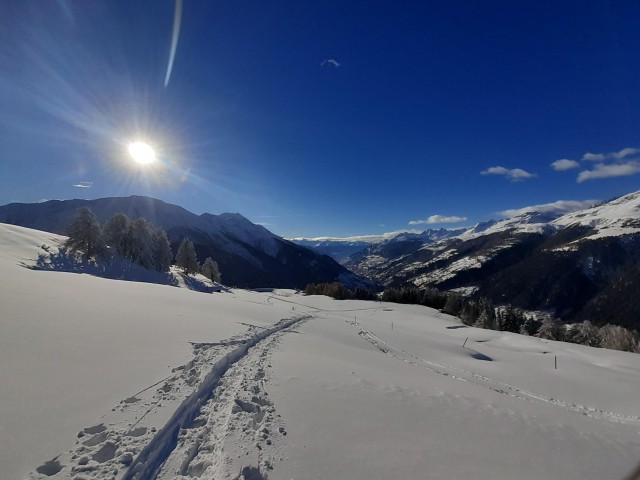 Visit Binn Avalanche workshop for snowshoe tours in Swiss Alps