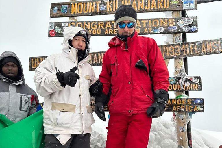 8 dias de magia no Kilimanjaro na Rota Lemosho8 dias de escalada da Rota Lemosho no Kilimanjaro