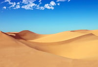 Riyadh, Sand Dunes Desert Safari, Quad Bike, Camel Ride - Housity