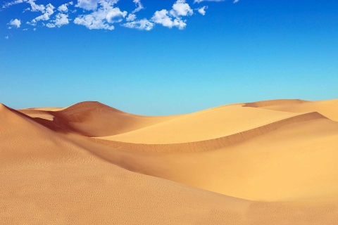 Riyad: Woestijnsafari in de zandduinen, quad, kamelenritZandduinen Woestijnsafari, quadrijden, kameelrijden