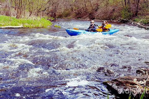 Vilnius: Vilnelė River Kayak Rental with Scenic City Views