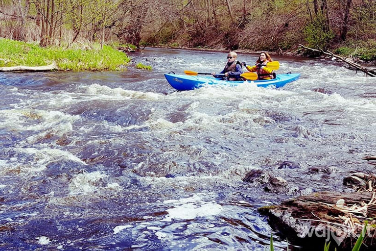 Vilnius: Vilnelė River Kayak Rental with Scenic City Views