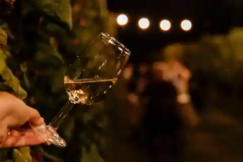 Jantar na vinha em Alba com aperitivo de degustação de vinhos e visita à adega