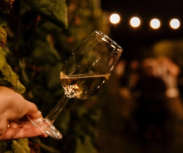 Jantar na vinha em Alba com aperitivo de degustação de vinhos e visita à adega