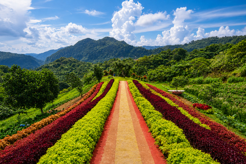 Cebu: Highlands Escape with Coffee Farm Experience
