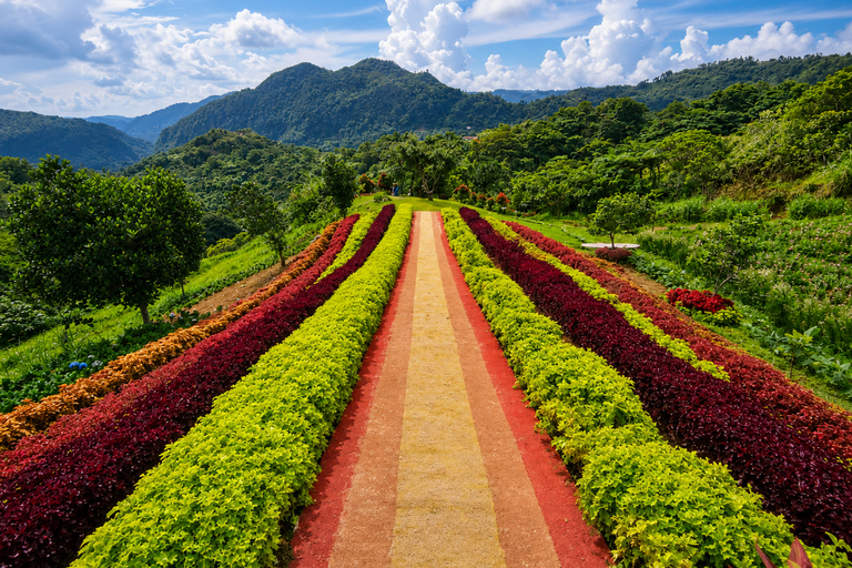 Cebu: Highlands Escape with Coffee Farm Experience