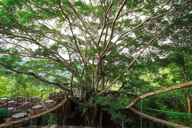 Chiang Mai: excursión de un día al Giant Café y al pueblo de Mae KampongChiang Mai: Excursión de un día al Café Gigante y al pueblo de Mae Kampong