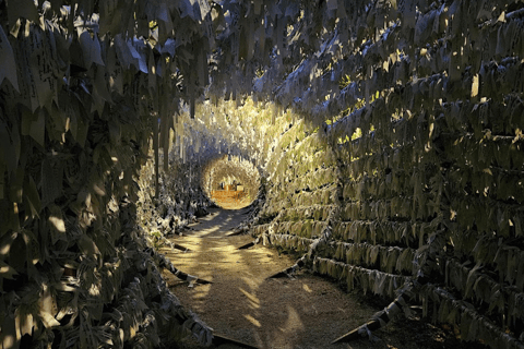 Visita al Santuario di Maria che scioglie i nodi a Cancun