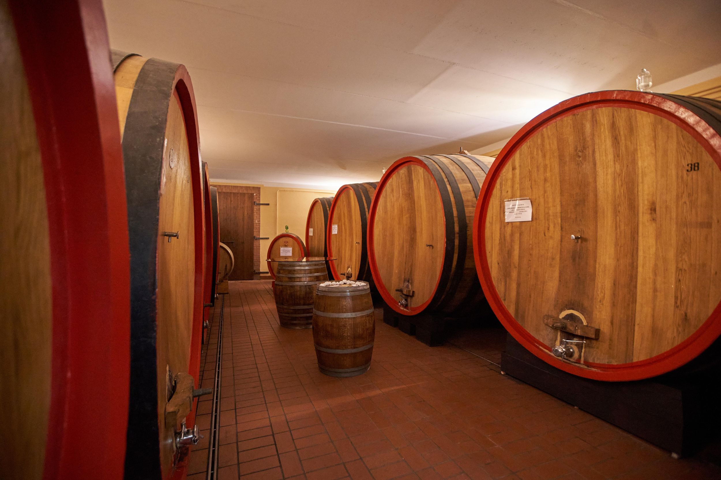 Verkostung und Tour Vino Nobile di Montepulciano