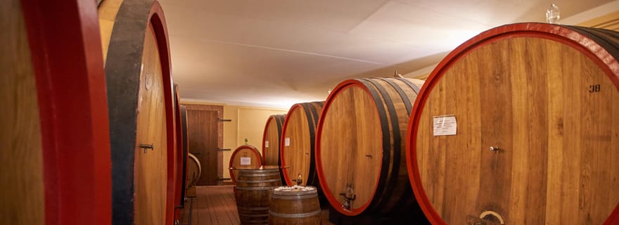 Dégustation et visite du Vino Nobile di Montepulciano