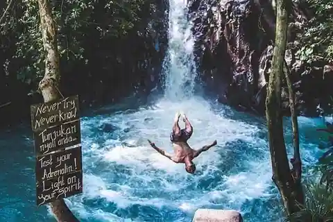 Bali: Osservazione dei delfini, cascata di Aling Aling e caffè ...