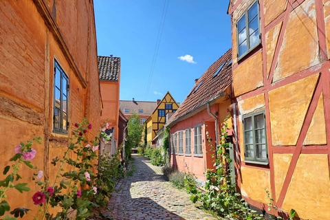 Helsingør: Ontdek het gezellige Helsingør en Kasteel Kronborg