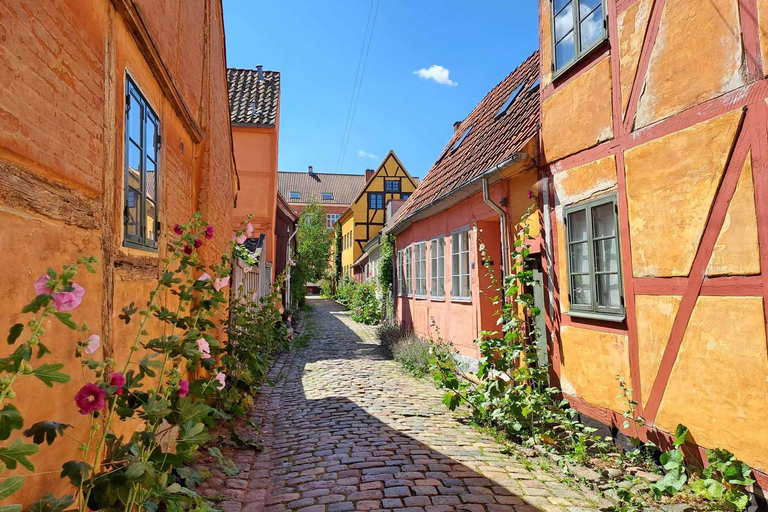 Helsingør: Descubre la acogedora Helsingør y el Castillo de Kronborg