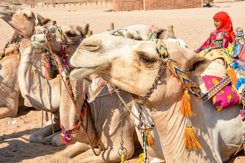 Hurghada: Safari en Jeep, Buggy, Camello, Quad, Cena beduina