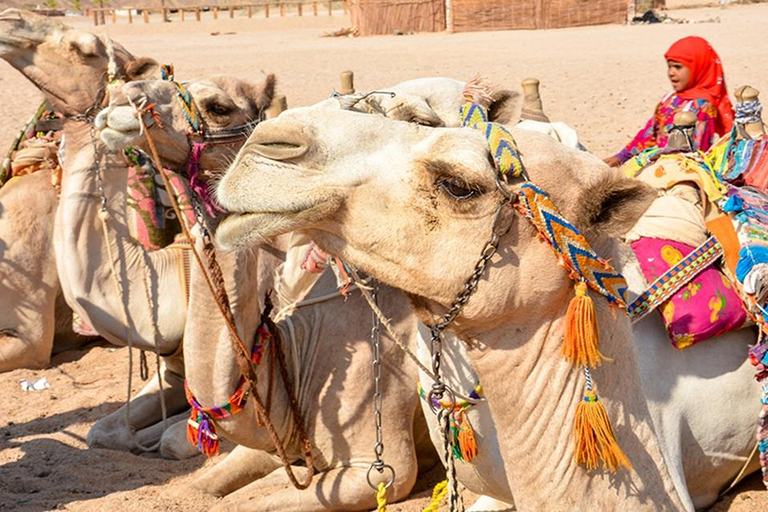 Hurghada: Safari en Jeep, Buggy, Camello, Quad, Cena beduina