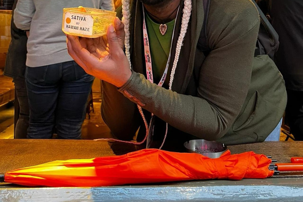 Amsterdam: tour a piedi della ganja con spuntini