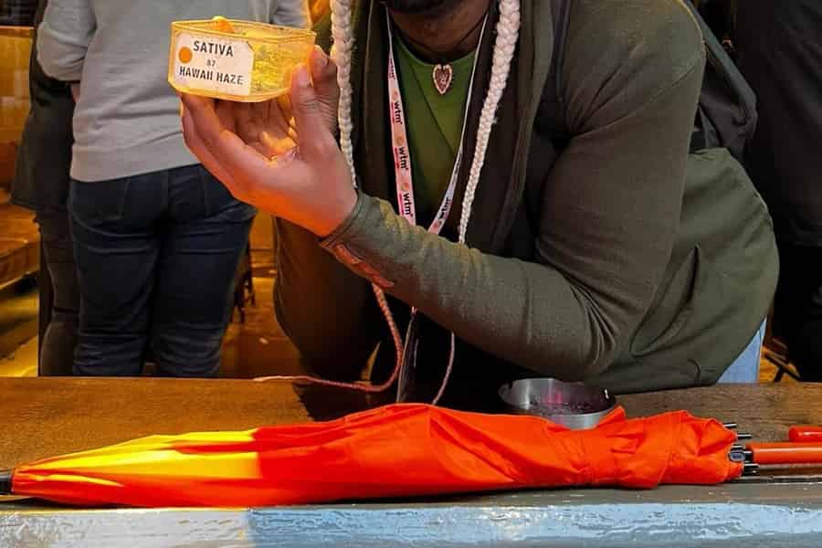 Amsterdam: Geführter Ganja-Rundgang durch Coffeeshops. Foto: GetYourGuide Amsterdam: Geführter Ganja-Rundgang durch Coffeeshops. Foto: GetYourGuide