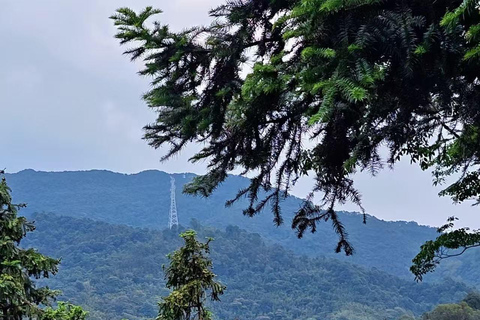 Guangzhou: Gulong Gorge Private Tour with Lunch & Skywalk