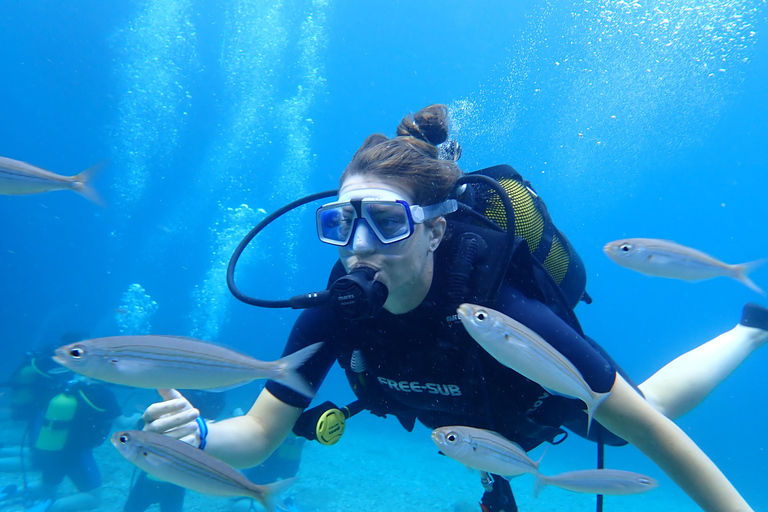 Alanya: 2 Guided Scuba Dives with Lunch and Hotel Transfers Tour with 2 Dives