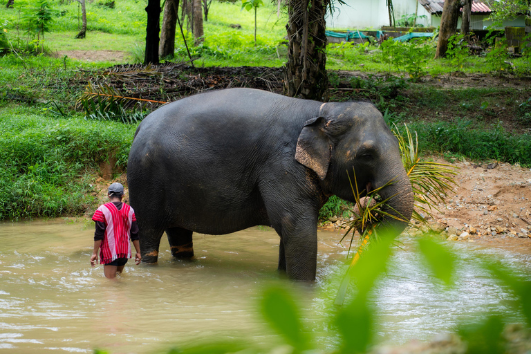 Khao Lak Ethical Elephant Sanctuary Visit & River Tubing Khaolak: Elephant Sanctuary Visit & River Tubing Tour