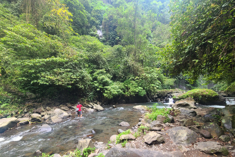 Bali Hidden Trekking, Wasserrutsche, Sekumpul, &amp; Fiji WasserfallAbholung vom Hotel und Rücktransfer zum Hotel inbegriffen