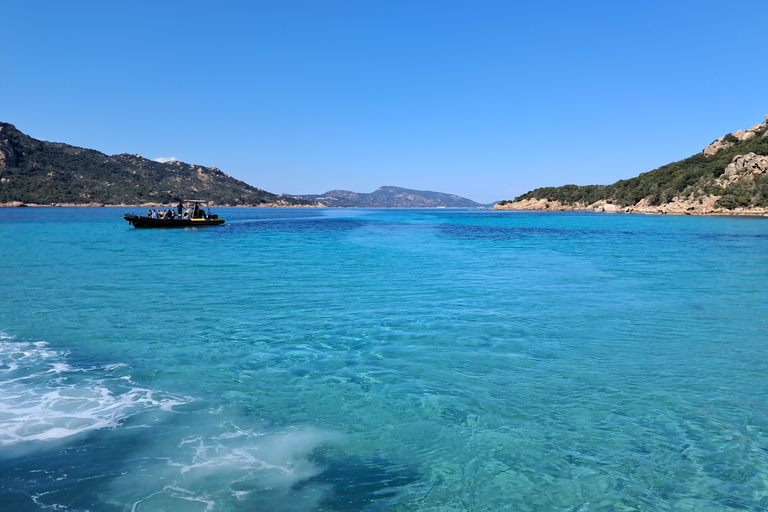 Porto-Vecchio : visite de l&#039;archipel des Lavezzi et de l&#039;île de CerbicalePorto-Vecchio : visite de l&#039;archipel des Lavezzi et de l&#039;île de Cerbicales