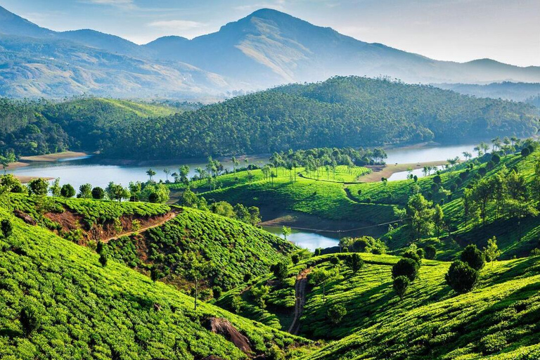 Kerala: Tour di 8 giorni con Munnar, Thekkady e Kovalam