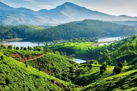Kerala: excursão de 8 dias com Munnar, Thekkady e Kovalam