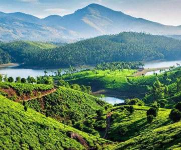 Kerala: Viaje de 8 días con Munnar, Thekkady y Kovalam