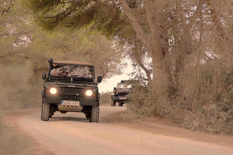 Ibiza Shared Safari Tour –Hidden Beaches, Caves & Snorkeling