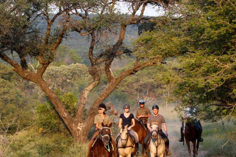 Kuşadası: Horse Riding Adventure with Hotel Pickup and Guide
