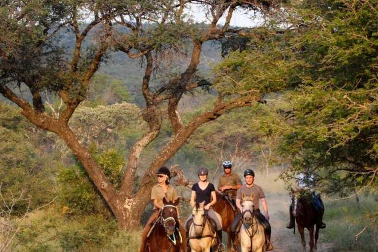 Kuşadası: Horse Riding Adventure with Hotel Pickup and Guide