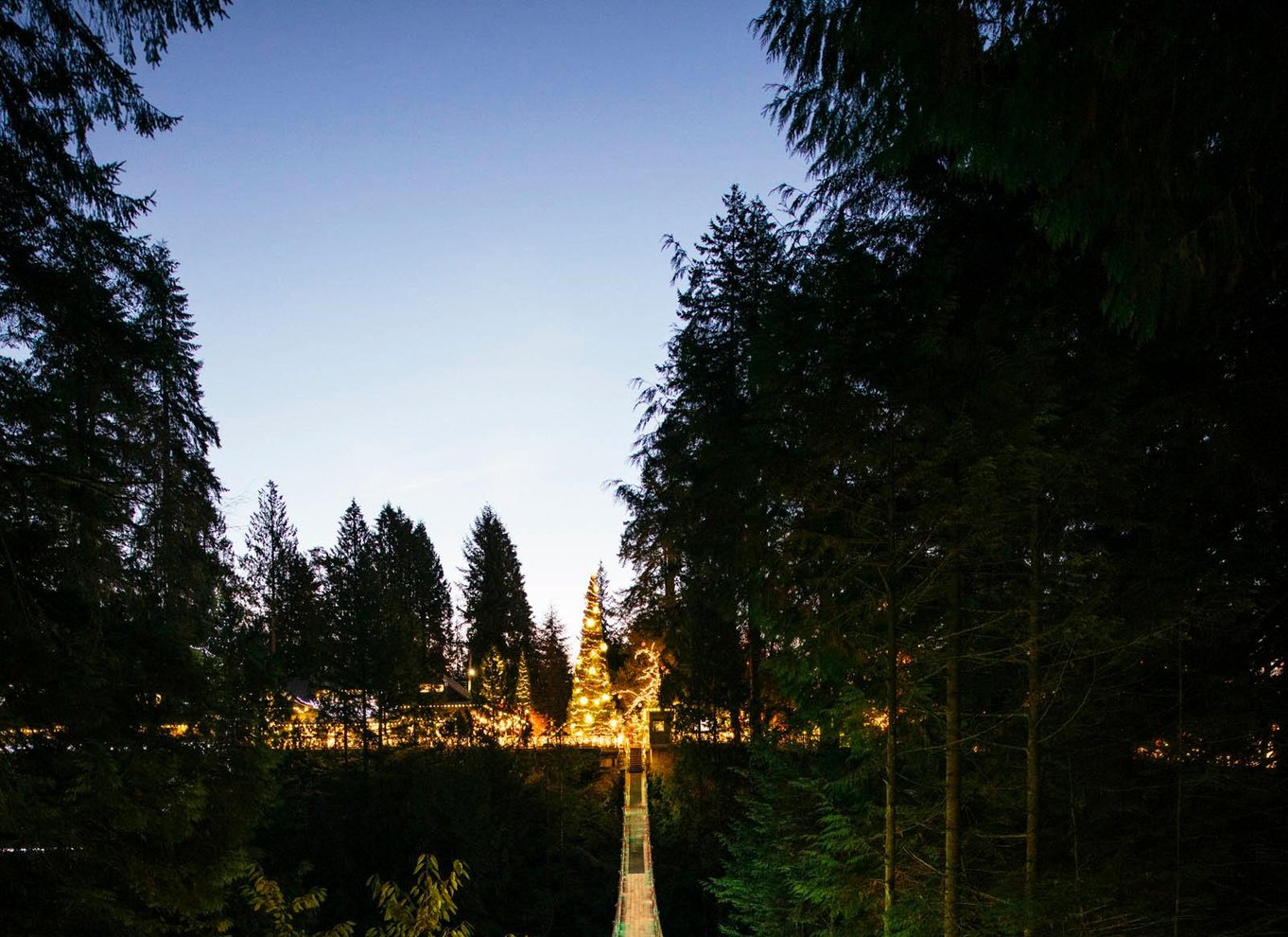 Vancouver: Capilano Suspension Bridge Park billet