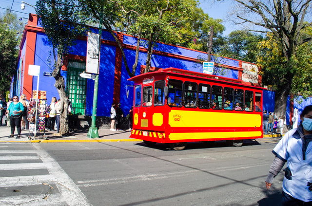 Mexico City: Frida Kahlo Museum Guided Tour with Options