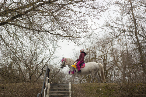 Westford: Western Trail Horse Riding with Private Option Public - Western Trail Horse Riding