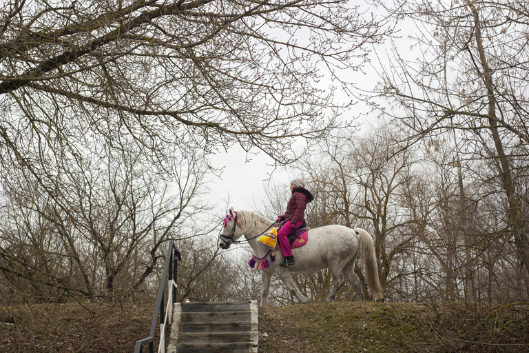 Westford: Western Trail Horse Riding with Private Option Public - Western Trail Horse Riding