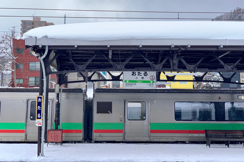 Viagem de 1 dia fretada de 10 horas a Hokkaido｜Otaru