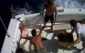 Curaçao Half-Day and Full-Day Fishing Tours