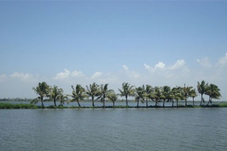 Cochin: Alleppey Backwater Private Day Cruise by Houseboat Cruise with Deluxe Houseboat + Pickup from Cruise Port