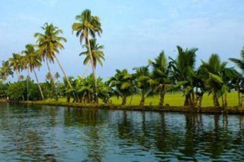 Cochin: Alleppey Backwater Private Day Cruise per woonbootCruise met luxe woonboot + pick-up van cruisehaven