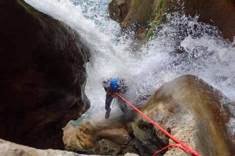 Granada & Malaga: Río Verde Canyon, Turquoise Water Jumps Private Tour