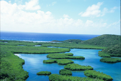 圣托马斯红树林皮划艇、徒步和浮潜 3 小时之旅圣托马斯红树林皮划艇、远足和浮潜 3 小时旅游