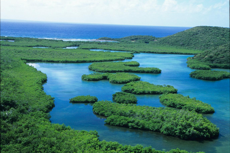 圣托马斯红树林皮划艇、徒步和浮潜 3 小时之旅圣托马斯红树林皮划艇、远足和浮潜 3 小时旅游