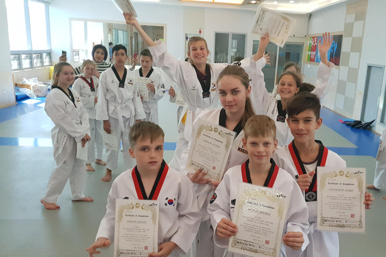 Busan: 1 Hour Taekwondo Experience with Master