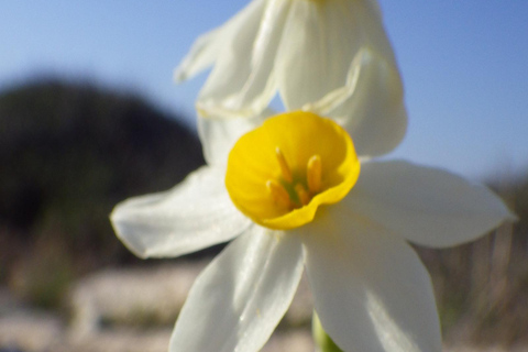 Walk (usually upto 10 km) and explore around Cape Greco 8-hour trip - Walk (usually upto 10 km) & explore Cape Greco